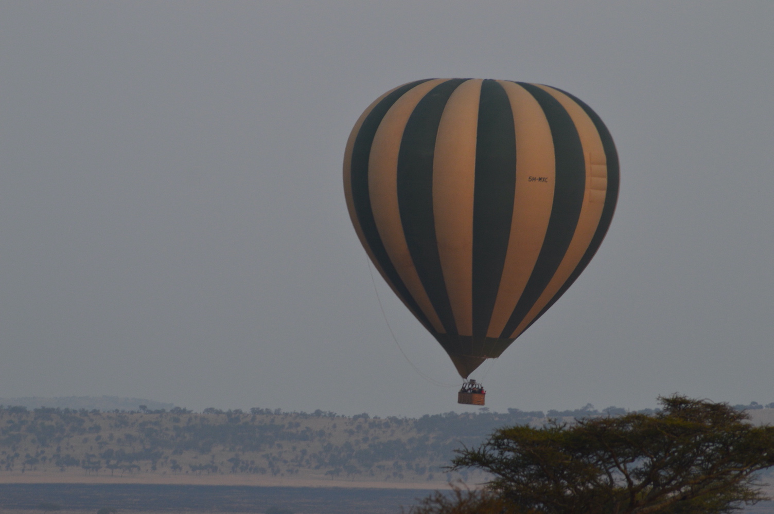 Balloon Safari