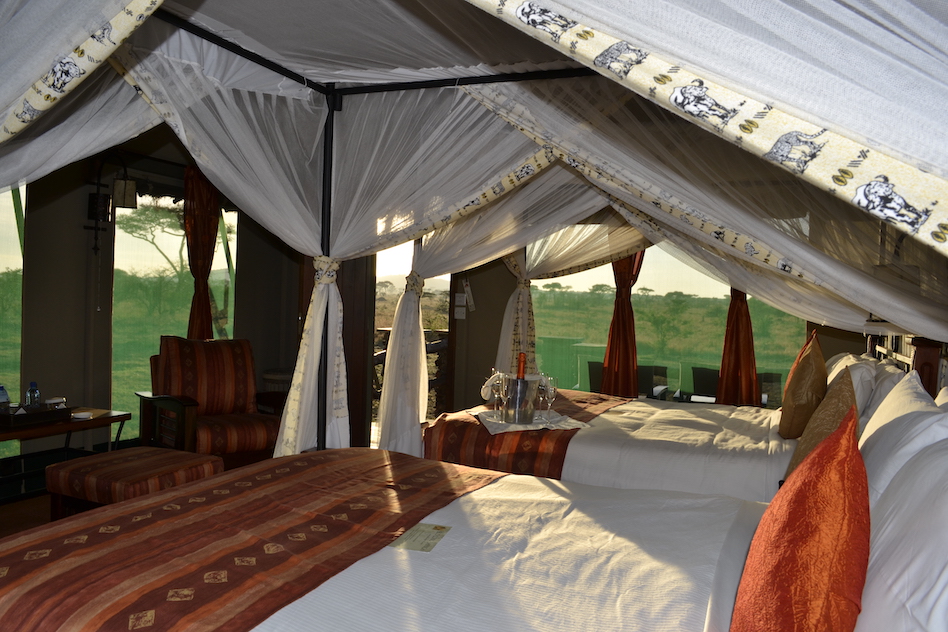Safari Savannah Tent | Sep - May