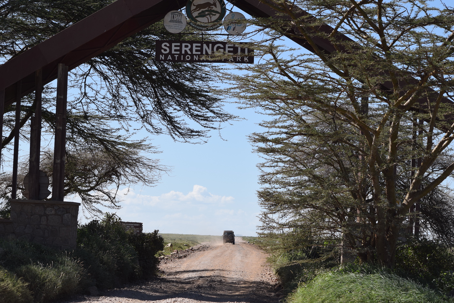 Full Day Game Drive - Serengeti National Park